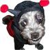ollie157 (@ollie157) Twitter profile photo