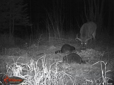 ChrisRconway's profile picture. 