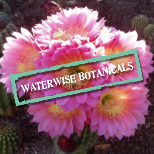 We are a Plant Nursery located in San Diego County! Follow us for the latest on drought-resistant plants and Nursery Events