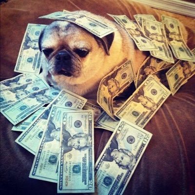 datpiff_Q's profile picture. 