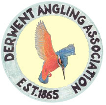 Established in 1865, the Derwent Angling association has 15 miles of fly fishing on the River Derwent, with good stocks of brown trout and grayling.