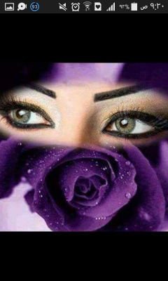 t8M5br9agOmVVl7's profile picture. 