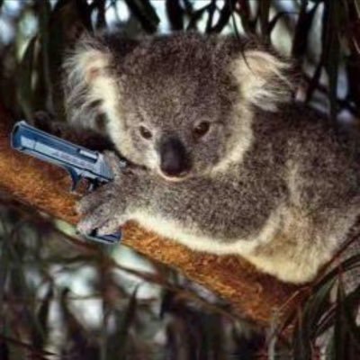 Gattivalingua's profile picture. Sfacciata è impertinente