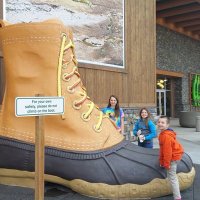 jal (@jalaml01) 's Twitter Profile