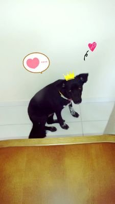 bonato_cati's profile picture. Good Girls are Bad Girls that haven't been caught