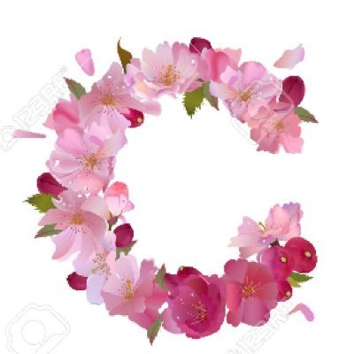 cristinaimep's profile picture. 