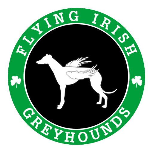 FIG rehomes Irish ex-racing Greyhounds as pets within Ireland, the UK and North America.