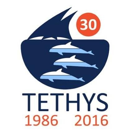 Tethys Research Institute is a non-profit organisation specialising in whale and dolphin research and conservation in the Mediterranean.