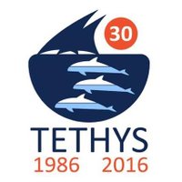 Tethys(@TethysResearch) 's Twitter Profileg