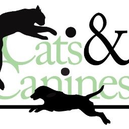 Rene Hersey founded Cats & Canines, Inc. to provide better care to under served shelter cats & dogs. .