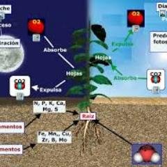 jrcribillero1's profile picture. 