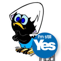 Don Hutchison 🏴󠁧󠁢󠁳󠁣󠁴󠁿🇮🇪🇪🇺 (@hondutchison) 's Twitter Profile Photo