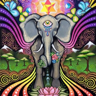 traycw85's profile picture. 