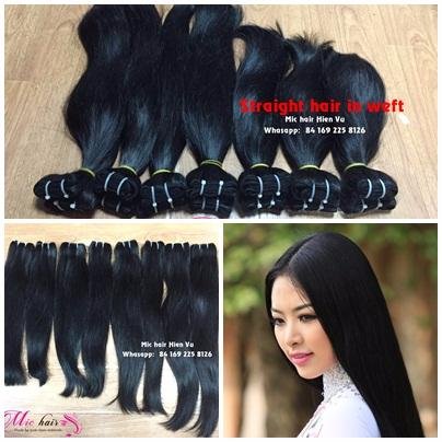 Sale Executive at Mic Hair 100% human-virgin-remy Viet Nam Hair Straight-body wavy-deep wavy-curly Raw hair-Hair extension (in weft) Natural color-Dyed color