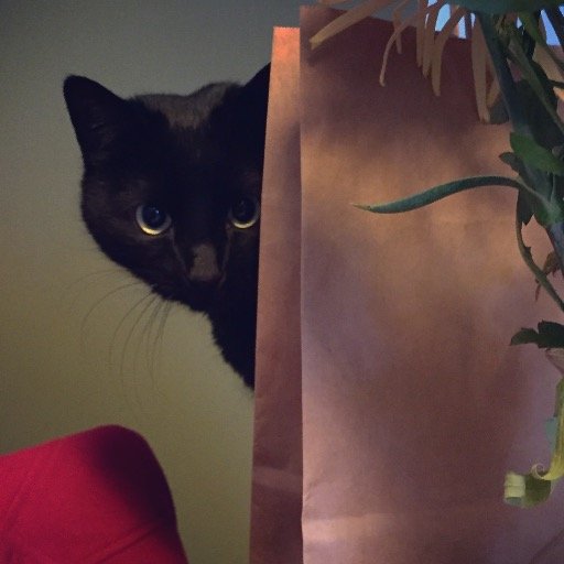 hedric18's profile picture. 