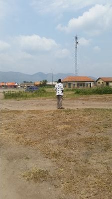 MusisiKiwanuka's profile picture. 