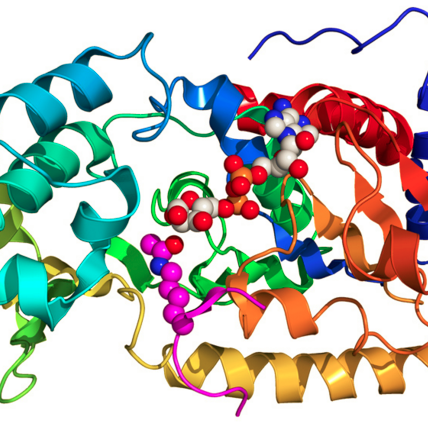 Biopharminvest's profile picture. Trading biopharmaceutical stocks on catalyst events with comprehensive strategies.