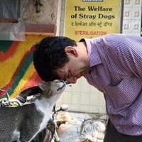 Abodh Aras (@strayingaround) 's Twitter Profile