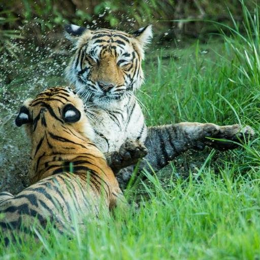 Lodge&camping safaris,Family vacations,Excursions,day trips,taxis,vehicle leasing&transporter