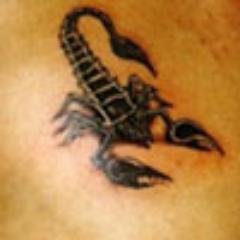 Djorzz1's profile picture. 