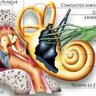 audyologia's profile picture. Noticias sobre la hipoacusia y audífonos. 
#oído #auditivo #sordera #sordos #coclear #oreja #audio #otitis #audiología #tímpano #tinnitus