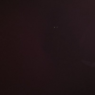 t_oddscribner's profile picture. 