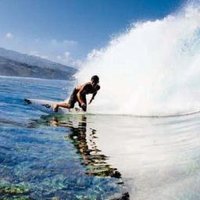 Darryl Brent (@darryl_brent) 's Twitter Profile