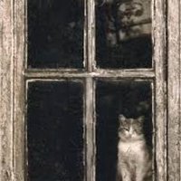 ayşe kaya (@dslrmdgzldny) 's Twitter Profile Photo