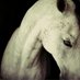 Horse_planet (@planet_horse) Twitter profile photo Horse_planet (@planet_horse) Twitter profile photo