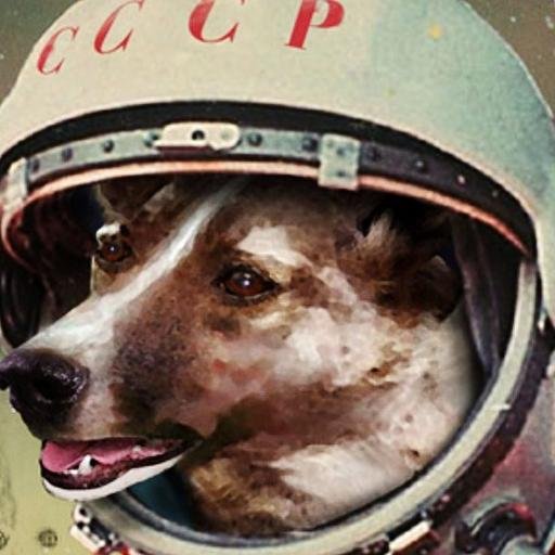 Spacedog*