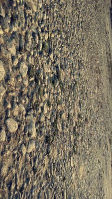 sbrc24Nsqt8a9ar's profile picture. 