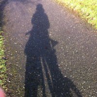 Peter Ferlie (@peterferlie) 's Twitter Profile