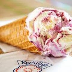 At Roskilly's we are well known for our tasty ice creams, clotted cream fudge and rich organic jersey milk.