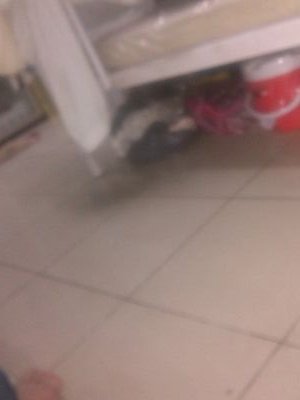 2323_alikhan's profile picture. 