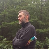 steve fowkes (@stevefowkesfc) 's Twitter Profile