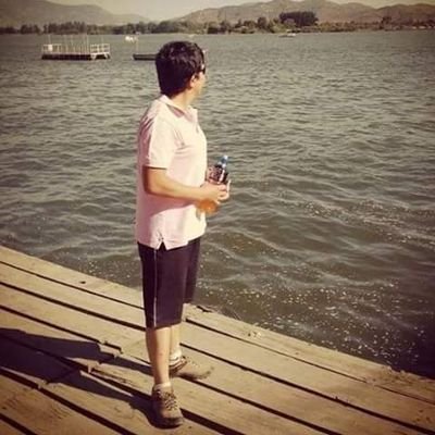 Markoflores07's profile picture. terry🕊🦁🦁🐕🤟🚘🚚🚧⛽️