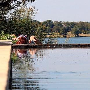 MeeshDragon's profile picture. Unpublished author. Shoe-crazed woman. Addicted to Dr Pepper. Sometime softball player. Football fan. My serious twin is @michmgardner.