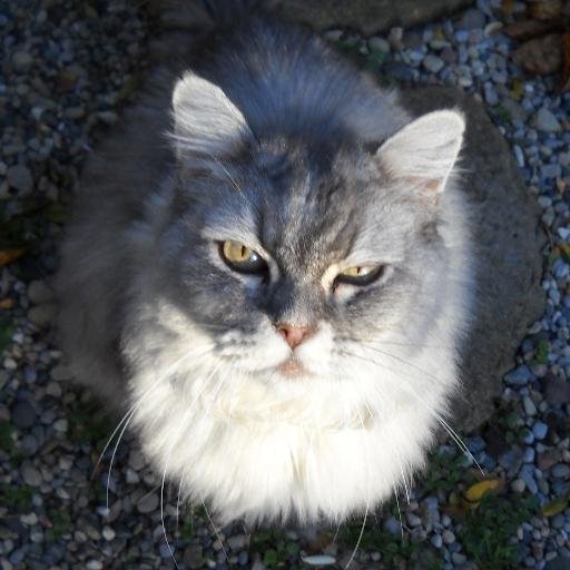 Shenlei's profile picture. Designer. Entrepreneur. Inventor.