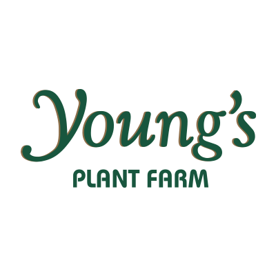 YPF is a family owned & operated grower that was founded in 1961. We produce annual bedding plants, edibles, mums, pansies, poinsettias & more.