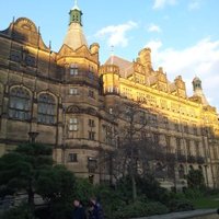 NorthSheffieldBiz (@biznthsheffield) 's Twitter Profile