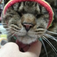 山田太郎冠者 (@yamyamv3) 's Twitter Profile