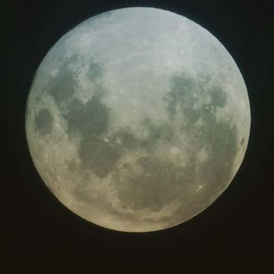 Camposarados's profile picture. 