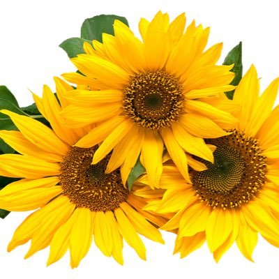 cuchy_things's profile picture. Cosas lindas que inspiran a ser creativos en todos los espacios de la vida