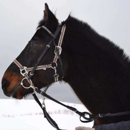 providing high quality authentic #russian village #tourism with #horsebackrides #River-rafting #games
