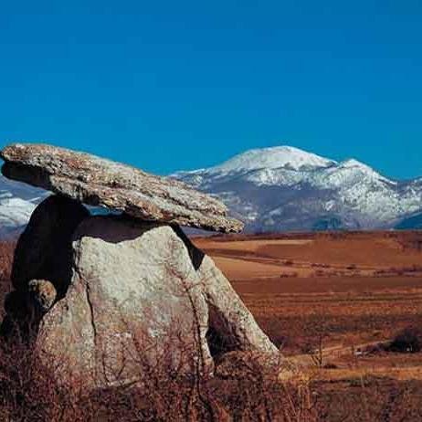 segurodevida52's profile picture. 