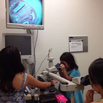 RimSKimMD's profile picture. Pathologist @AstraZeneca, #Oncology, #TranslationalMedicine, #ClinicalTrials, #BiomarkerAnalysis, #DigitalPathology, #ImageAnalysis, MOM