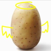 peace potato(@thepeacepotato) 's Twitter Profile Photo