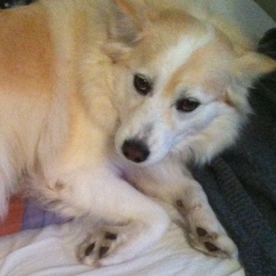 12345emyl's profile picture. 