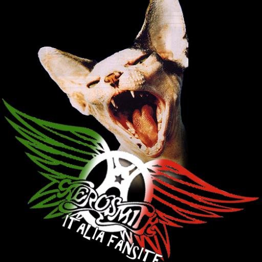 Aerosmith Italia Fans, tutto quello che c'è da sapere sulla band di Boston! Seguiteci su Facebook e Instagram