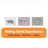 BIRDING LLEIDA EXPEDICIONS (@birding_lleida) 's Twitter Profile
